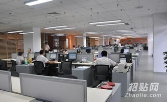 网络文化经营许可证申请条件详解