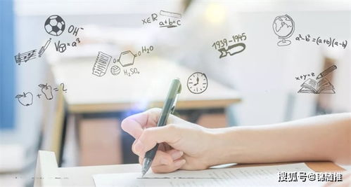 网络文化经营中的软文写作艺术 技巧与策略